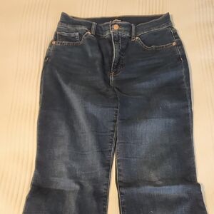 Express Dark Blue Flare Jeans